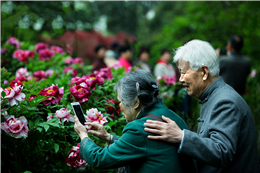 老两口学摄影