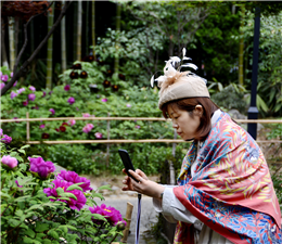 《美女花》